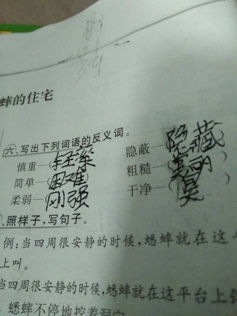 探索语言的魅力：反义词大全解析