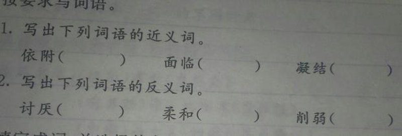 解锁语言新秘籍：构建反义词宝库